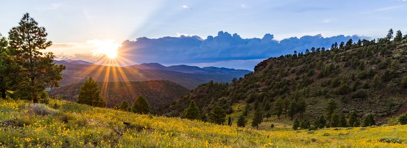 Flagstaff, Arizona
