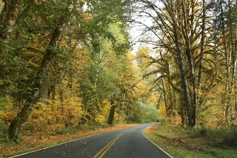 Olympic National Park