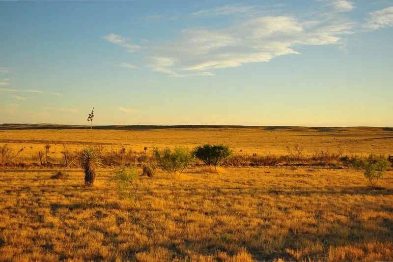Marfa’s Unique Desert Landscape