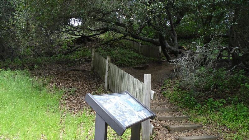 See the Earthquake Trail