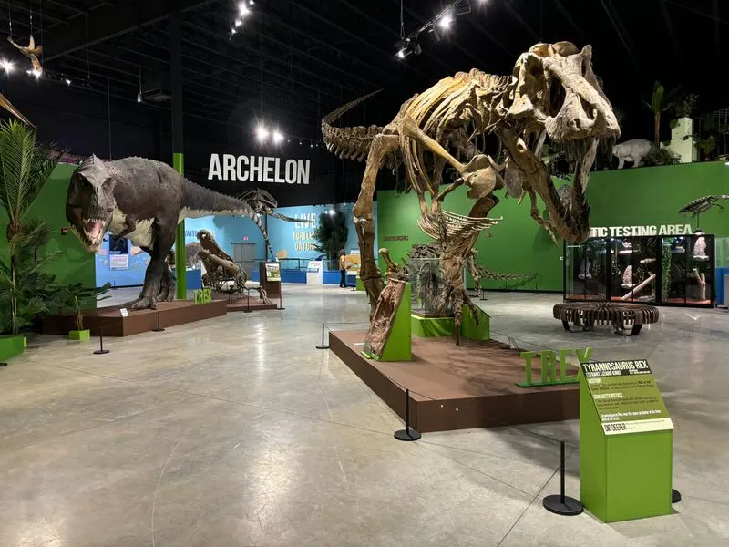 Indiana Dinosaur Museum