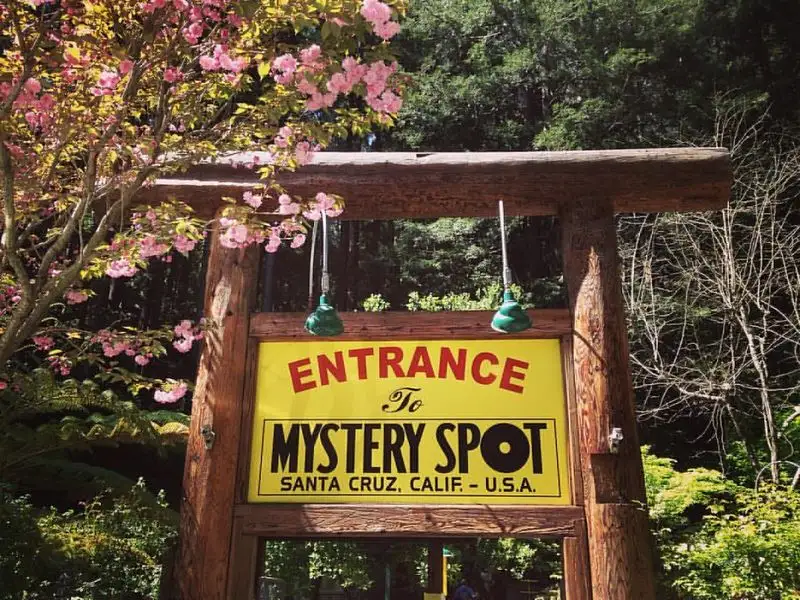The Mystery Spot
