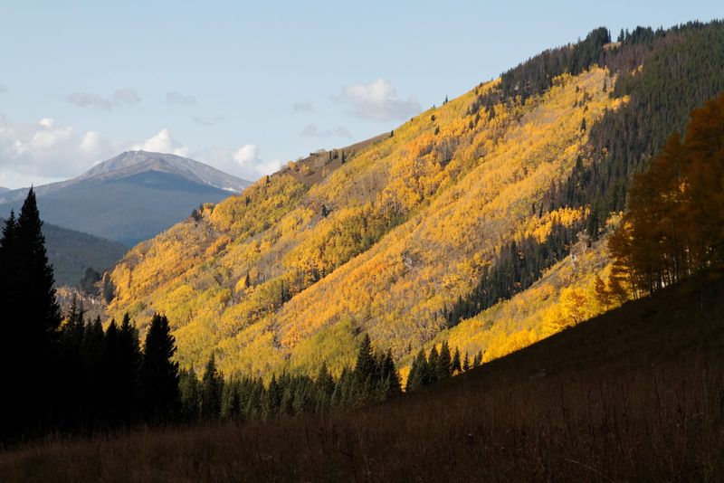 Colorado – Shrine Pass near Vail