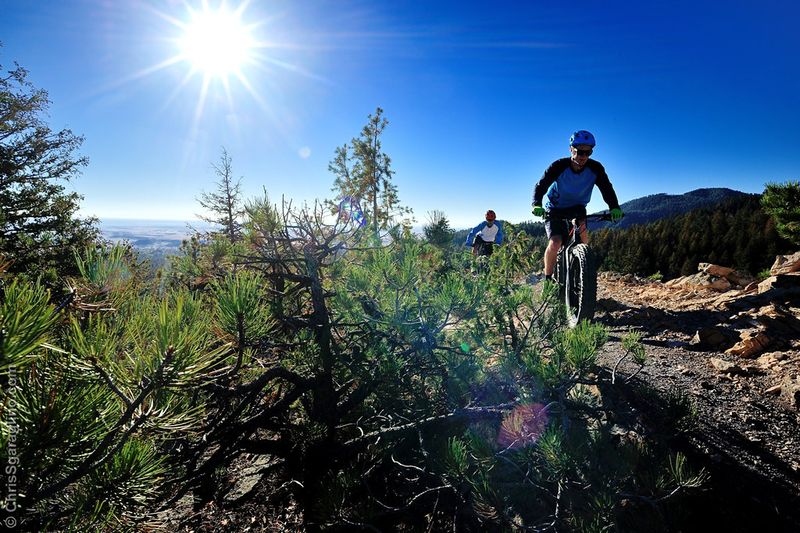 Bike or Hike the Woodland Park Trail System