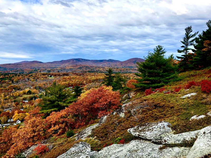 Seasonal Wildlife Viewing Spots