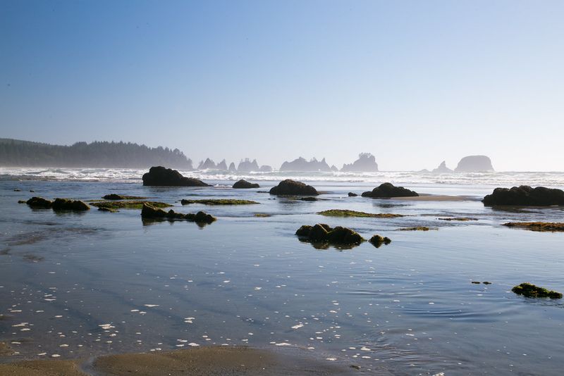 Shi Shi Beach