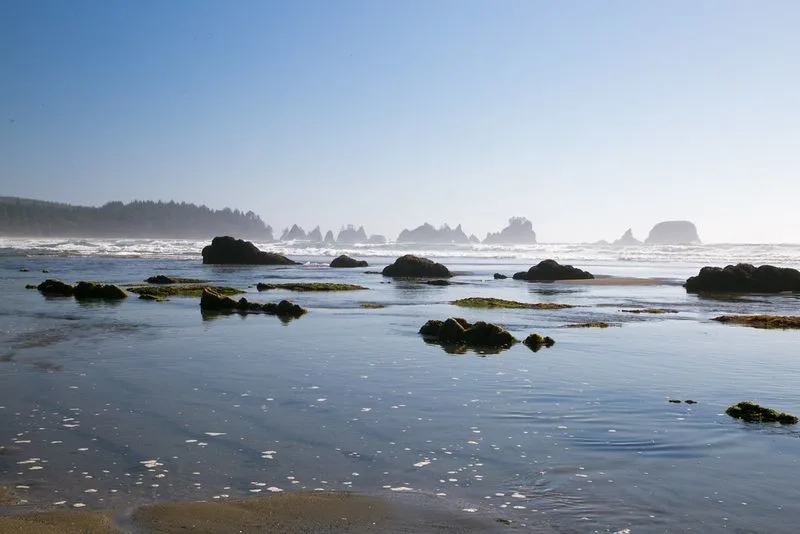 Shi Shi Beach