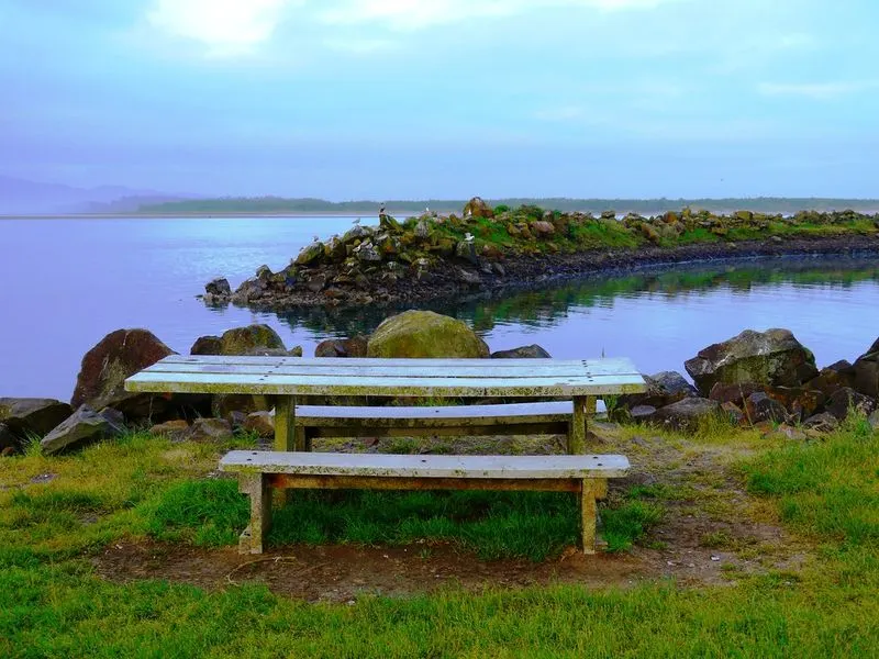 Netarts Bay State Park
