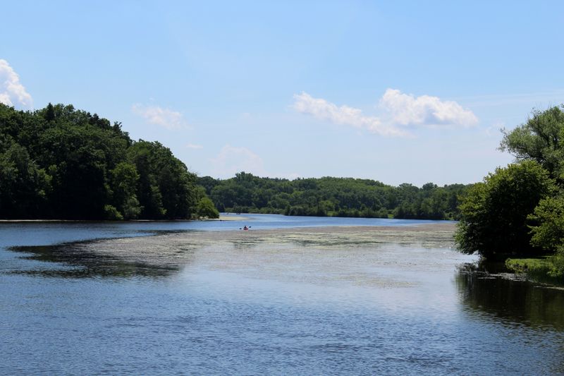Walk along the Huron River at Gallup Park