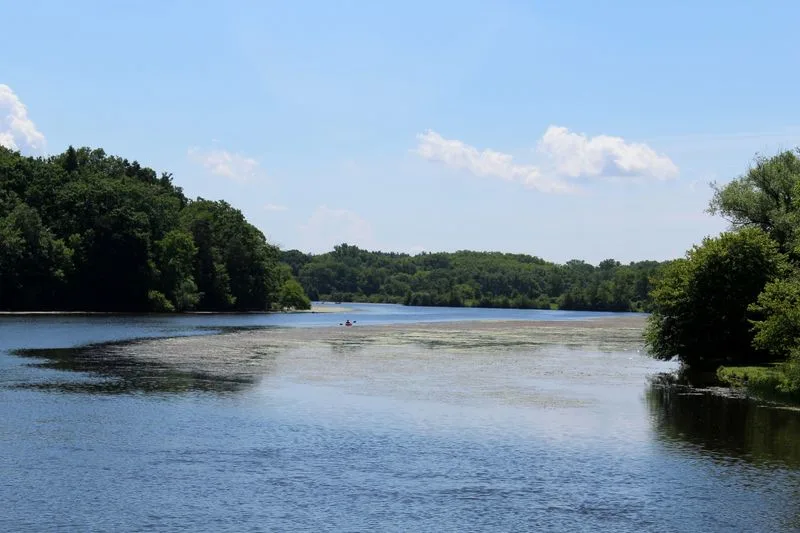 Walk along the Huron River at Gallup Park