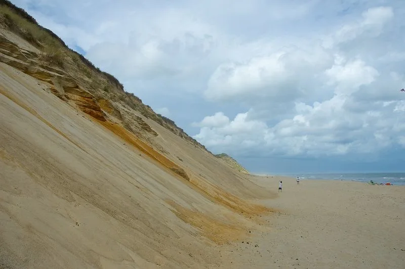 Wellfleet