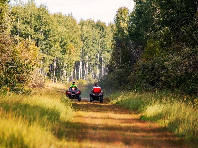 Iron Horse Trail – Alberta, Canada