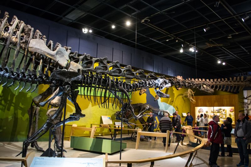 Cleveland Museum of Natural History – Dino Room