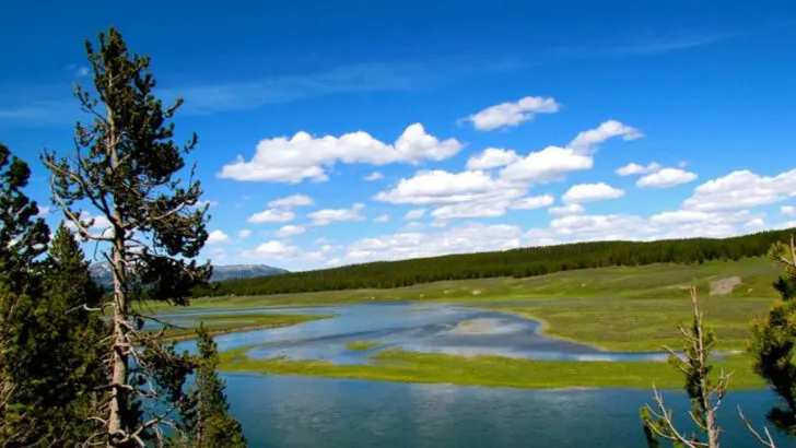 Cody, Wyoming is becoming a popular alternative to Jackson Hole for families on a budget