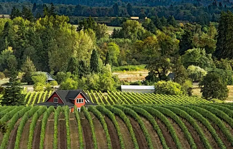 Willamette Valley