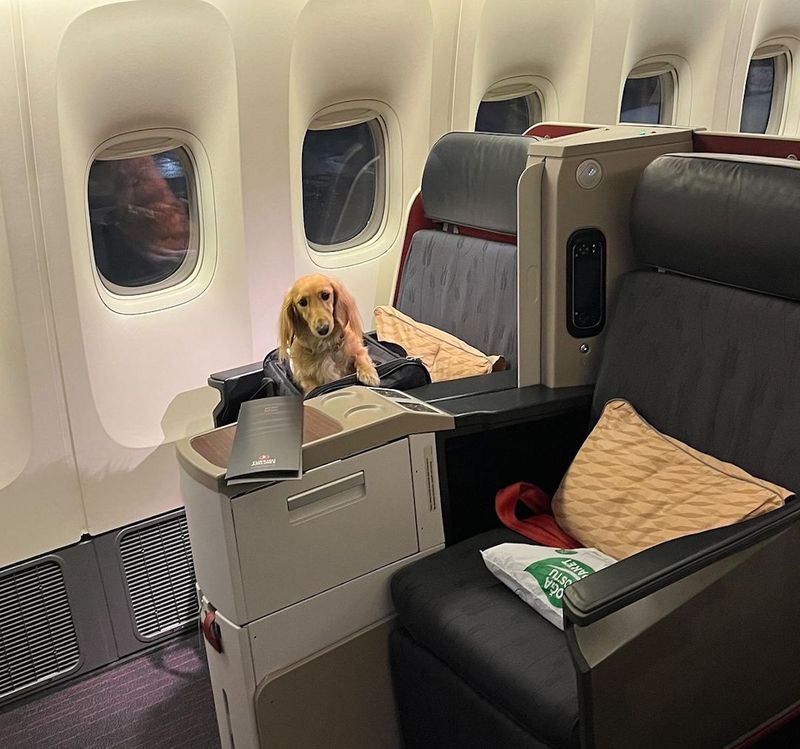 Air Travel Tips
