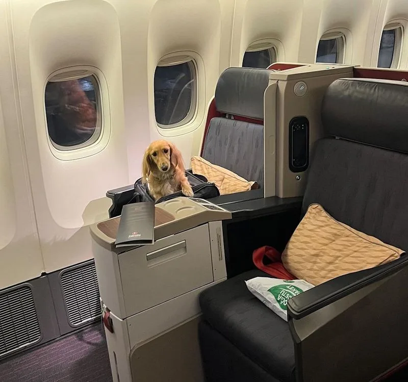 Air Travel Tips
