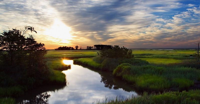 Delaware – Bombay Hook National Wildlife Refuge