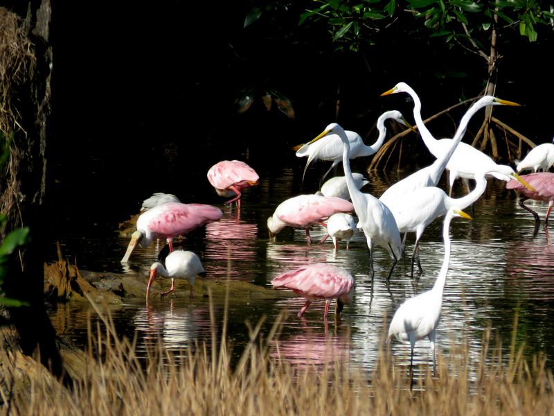 Palo Verde National Park
