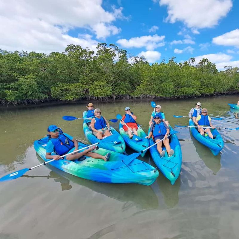 Kayaking in Rookery Bay Reserve