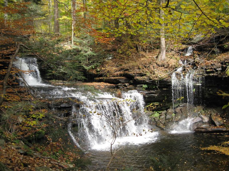 Ricketts Glen Falls (multiple) – Pennsylvania
