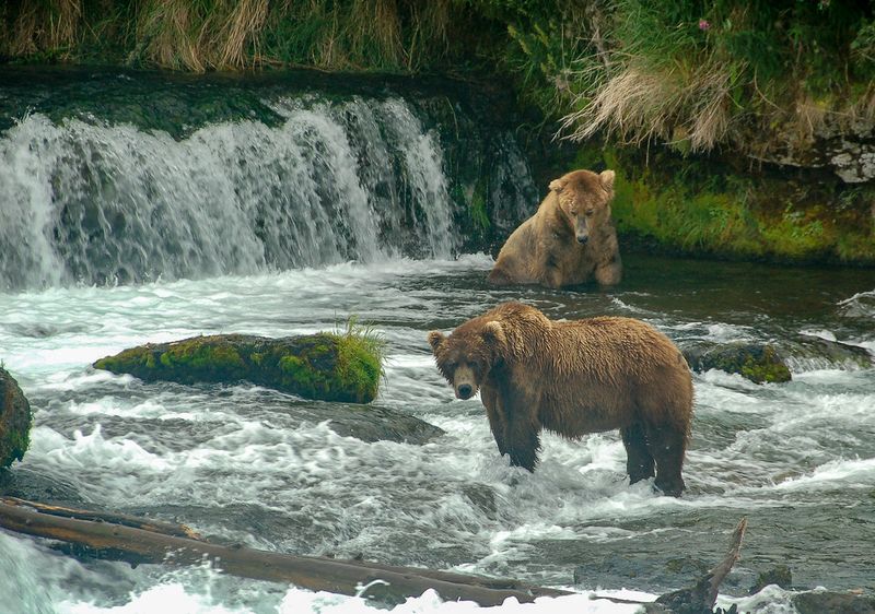 Katmai National Park (Alaska)