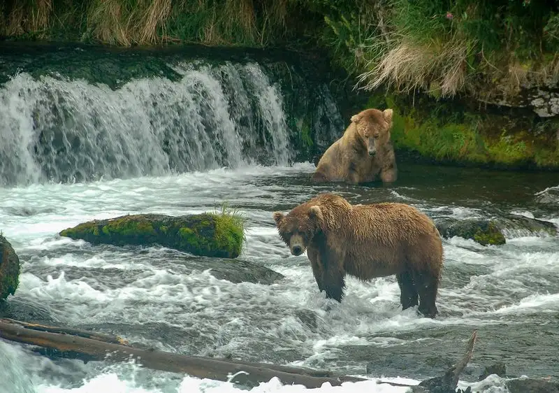 Katmai National Park (Alaska)