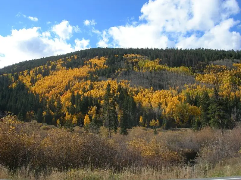 Hike in Pike National Forest