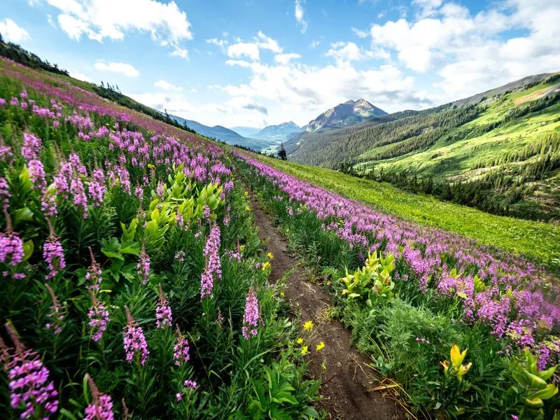 Crested Butte, Colorado