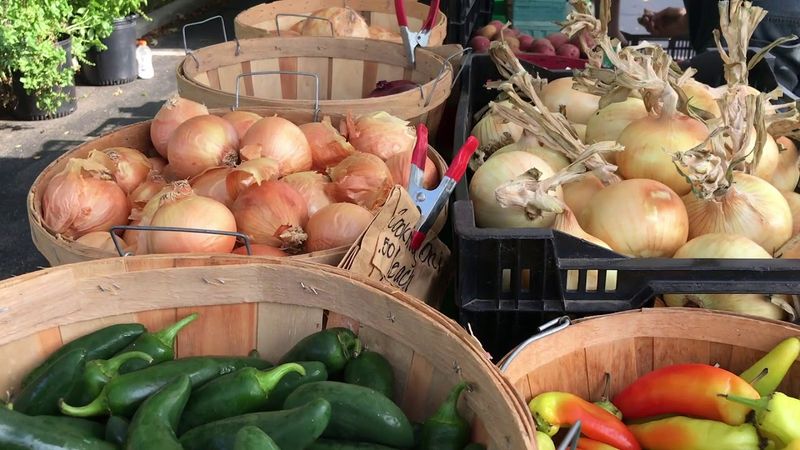 Grand Haven Farmers Market (Seasonal)