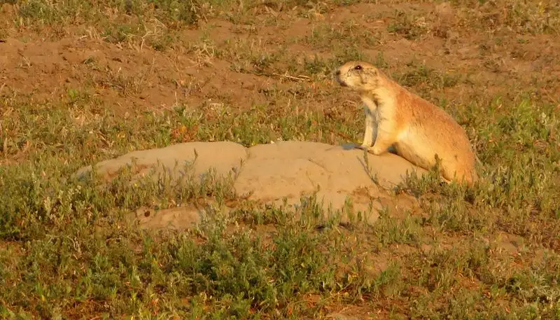 Prairie Dog State Park
