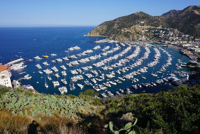 Catalina Island, California