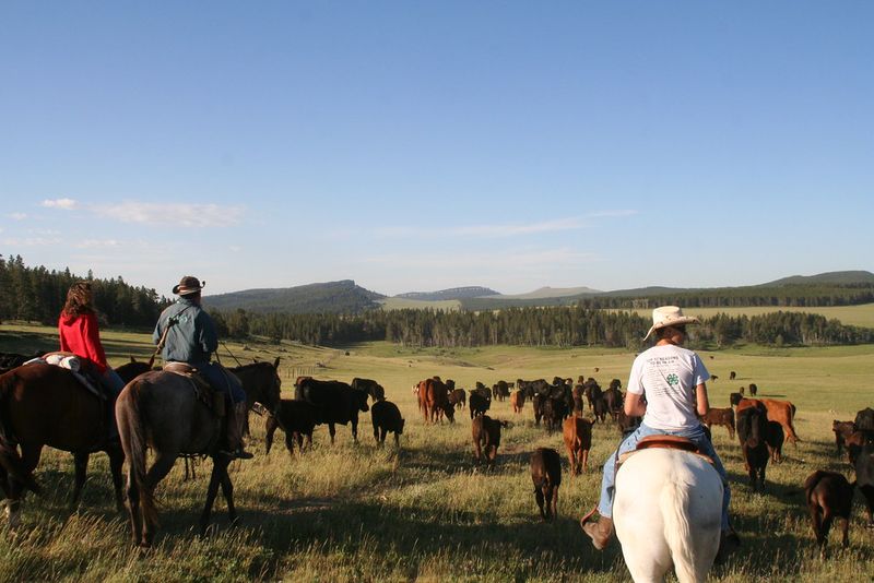 Stay at a family-friendly dude ranch