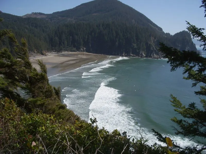 Oswald West State Park