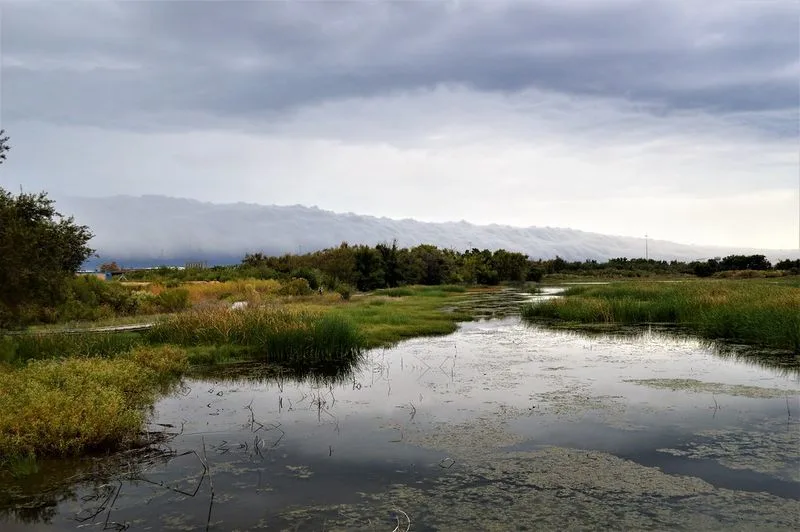 I-20 Wildlife Preserve (Midland, Texas)