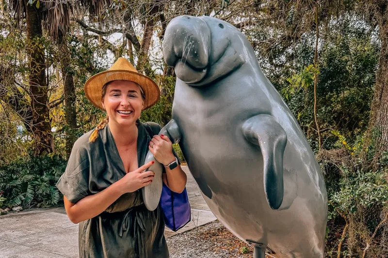 Watch the Manatees at Manatee Park