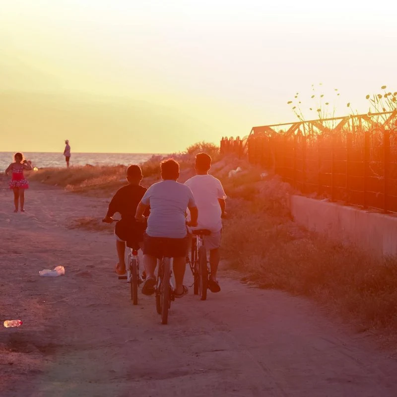 Biking Is the Main Mode of Transport