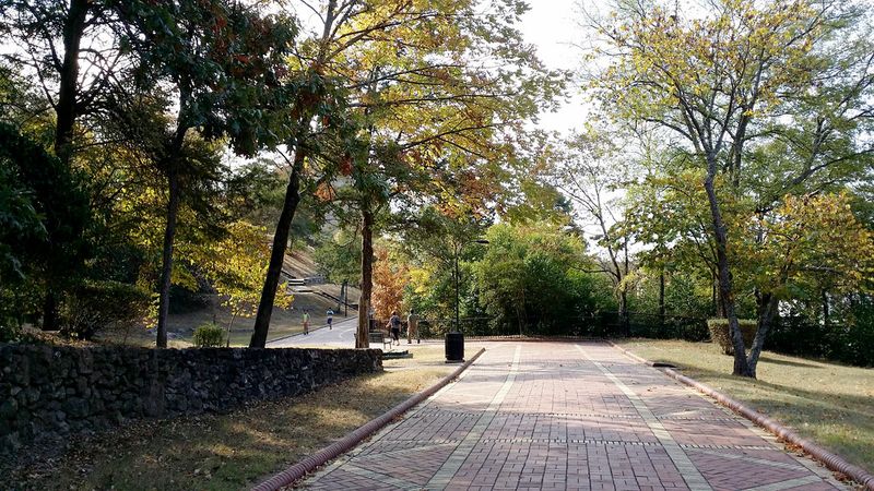 Grand Promenade: A Scenic Walk Above the Springs