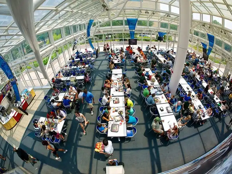 Cafés and Kid-Friendly Dining Options