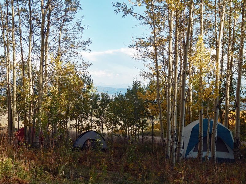 Camp Under the Stars