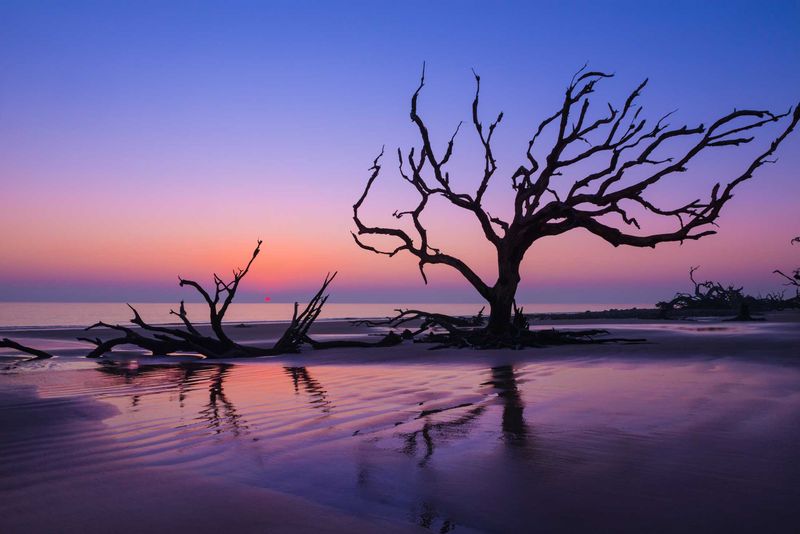Georgia – Driftwood Beach, Jekyll Island