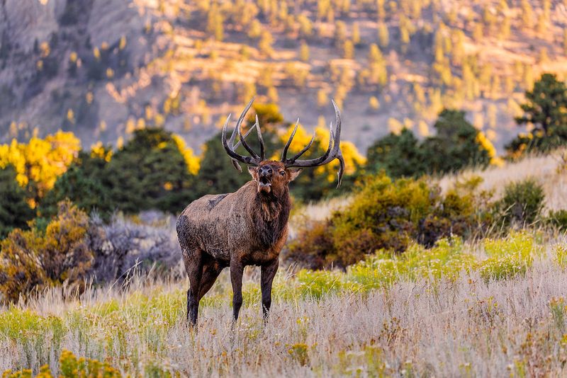 Rocky Mountain National Park (Colorado)