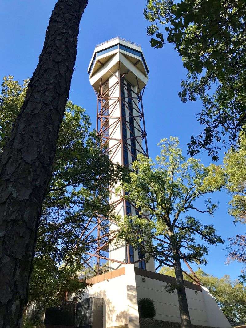 Hot Springs Mountain Tower: Views from the Top