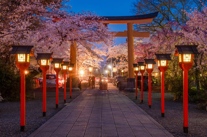 Kyoto, Japan (during cherry blossom season)