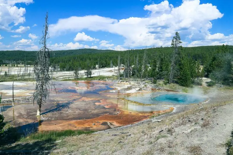 Visit Yellowstone National Park