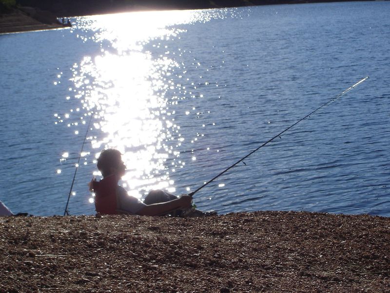 Fish or Boat at Rampart Reservoir