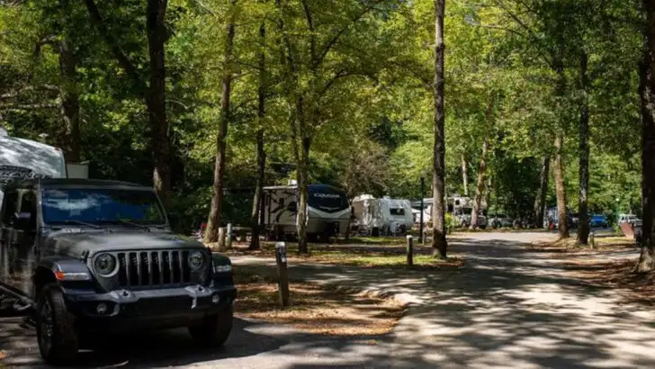 Hot Springs, Arkansas draws families with natural thermal pools, hiking trails, and historic charm