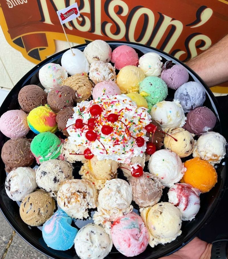 Nelson’s Ice Cream (Stillwater)
