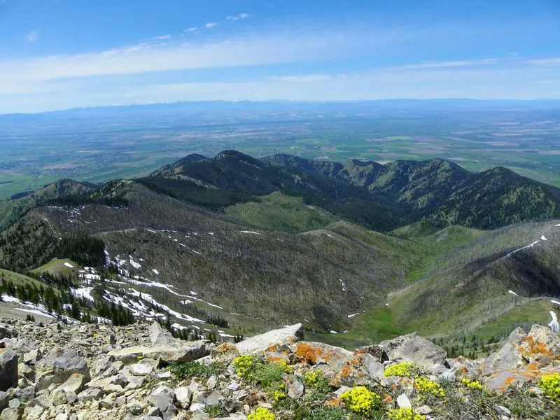Bozeman, Montana