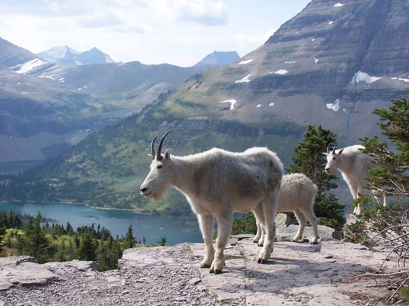 Glacier National Park (Montana)